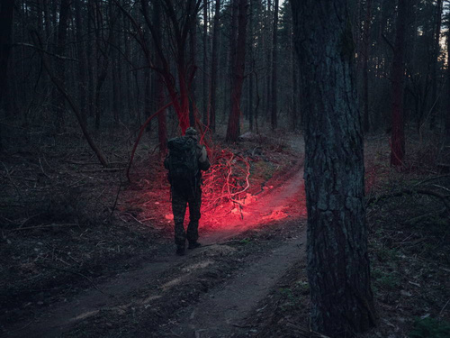 Armytek - Latarka akumulatorowa / czołówka Wizard C2 WR Magnet USB - 1020 lumenów - F06901W