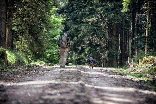 Helikon - Spodnie wojskowe SFU Next® - Czarne - SP-SFN-PR-01