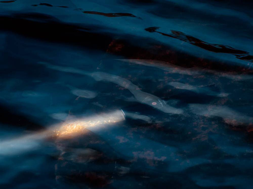 Fenix - Latarka laserowa akumulatorowa TK30 - 5000 mAh - 500 lumenów