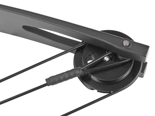 Poe Lang - Łuk bloczkowy Cobra Protex - Dla leworęcznych - 55 lb - Czarny