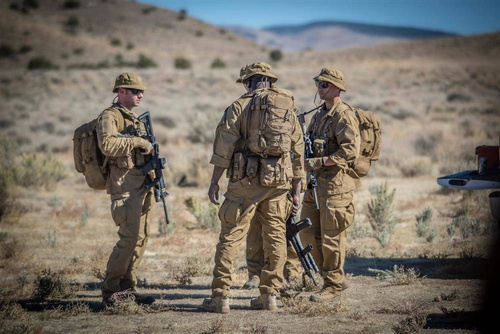 Helikon - Spodnie taktyczne BDU® Mk2 - Woodland - SP-BD2-PR-03