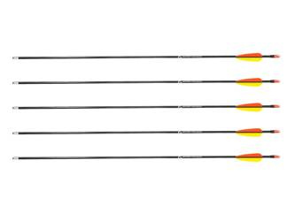 Poe Lang - Strzała z włókna szklanego - 30" - Grot tarczowy gładki - 5 szt. - D-055-B3