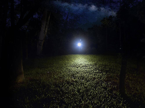 Fenix - Latarka diodowa E12 V2.0 - 160 lm