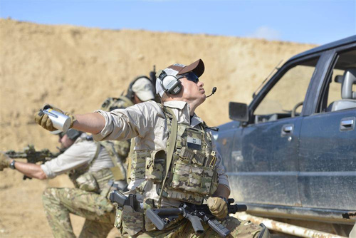 Direct Action - Ładownica na granat dymny - PenCott WildWood - PO-SMKE-CD5-PWW