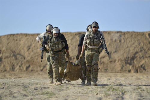 Direct Action - Nosze Taktyczne Combat Stretcher - MultiCam - PO-CSTR-NLN-MCM