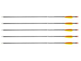 Poe Lang - Strzała z włókna szklanego - 28" - Grot tarczowy gładki - 5 szt. - D-055-B3
