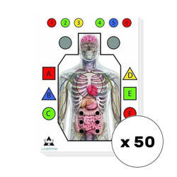 Range Solutions - Tarcze strzeleckie Live Arma - 50 szt - RAN-14-031535-00