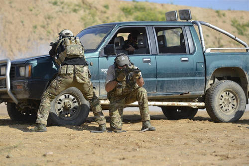 Direct Action - Worek zrzutowy Dump Pouch - Ranger Green - PO-DUMP-CD5-RGR