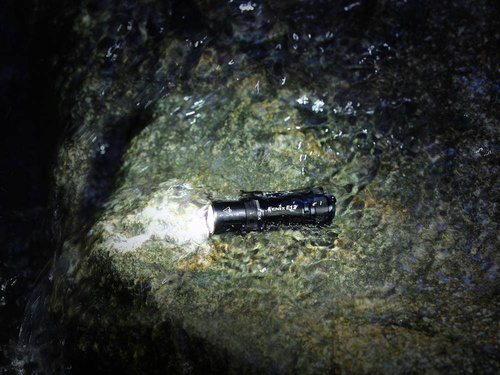 Fenix - Latarka diodowa E12 V2.0 - 160 lm