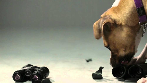 Vortex Optics - Luneta obserwacyjna Razor HD 27-60x85 - Skośna - Zielono / Czarna - RS-85A